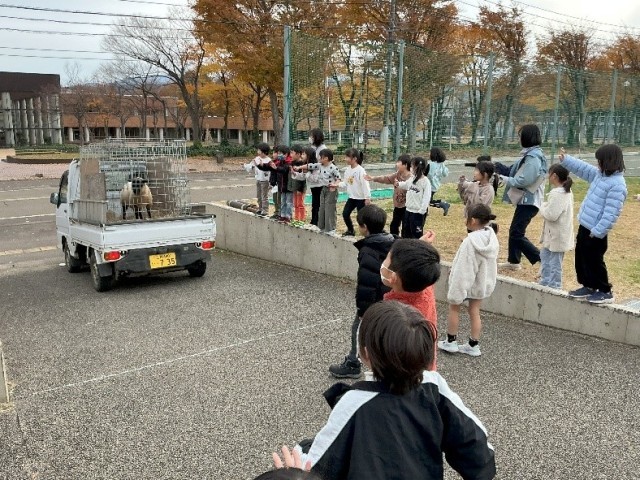 めえくん　わすれないよ　元気でね