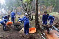 地域貢献活動の様子