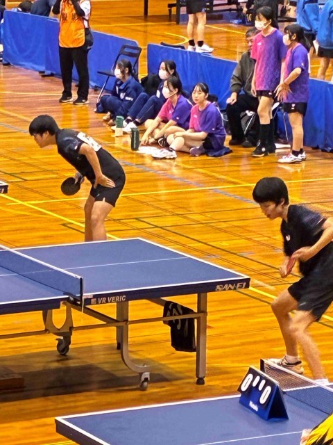 大会の様子