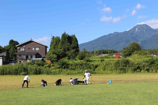 ＰＴＡグラウンド整備活動の様子