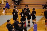 新人バレーボール大会の様子