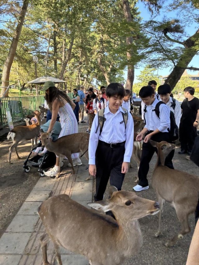奈良公園にて