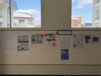 富田せな応援コーナー